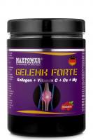 Gelenk Forte 400g.jpg